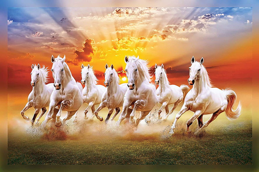 Herd of White Horses Galloping Across a Golden Sunset Field HD wallpaper