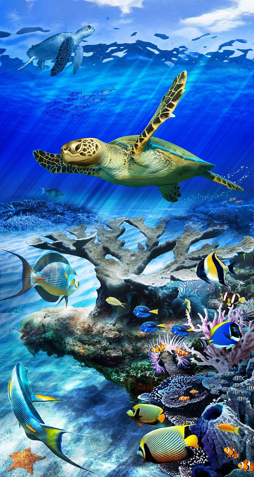 Vibrant Sea Turtle Swimming Above Colorful Coral Reef With Tropical Fish HD phone wallpaper