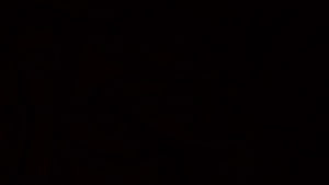 Minimalist Solid Black Background for Desktop and Mobile Screens HD wallpaper