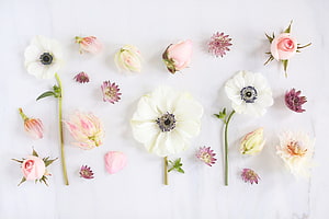 Pastel Spring Flower Flat Lay on White Marble Surface HD wallpaper