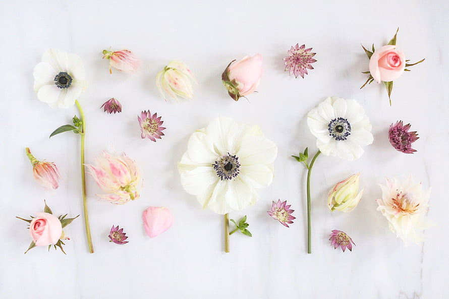 Pastel Spring Flower Flat Lay on White Marble Surface HD wallpaper