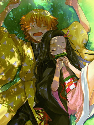 Zenitsu and Nezuko Resting in Sunlit Grass from Demon Slayer HD phone wallpaper