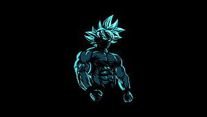Goku Blue Super Saiyan God SS Dragon Ball Z Anime Character Wallpaper HD wallpaper