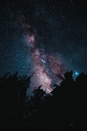 Milky Way Galaxy Rising Over Dark Forest Silhouette at Night HD phone wallpaper