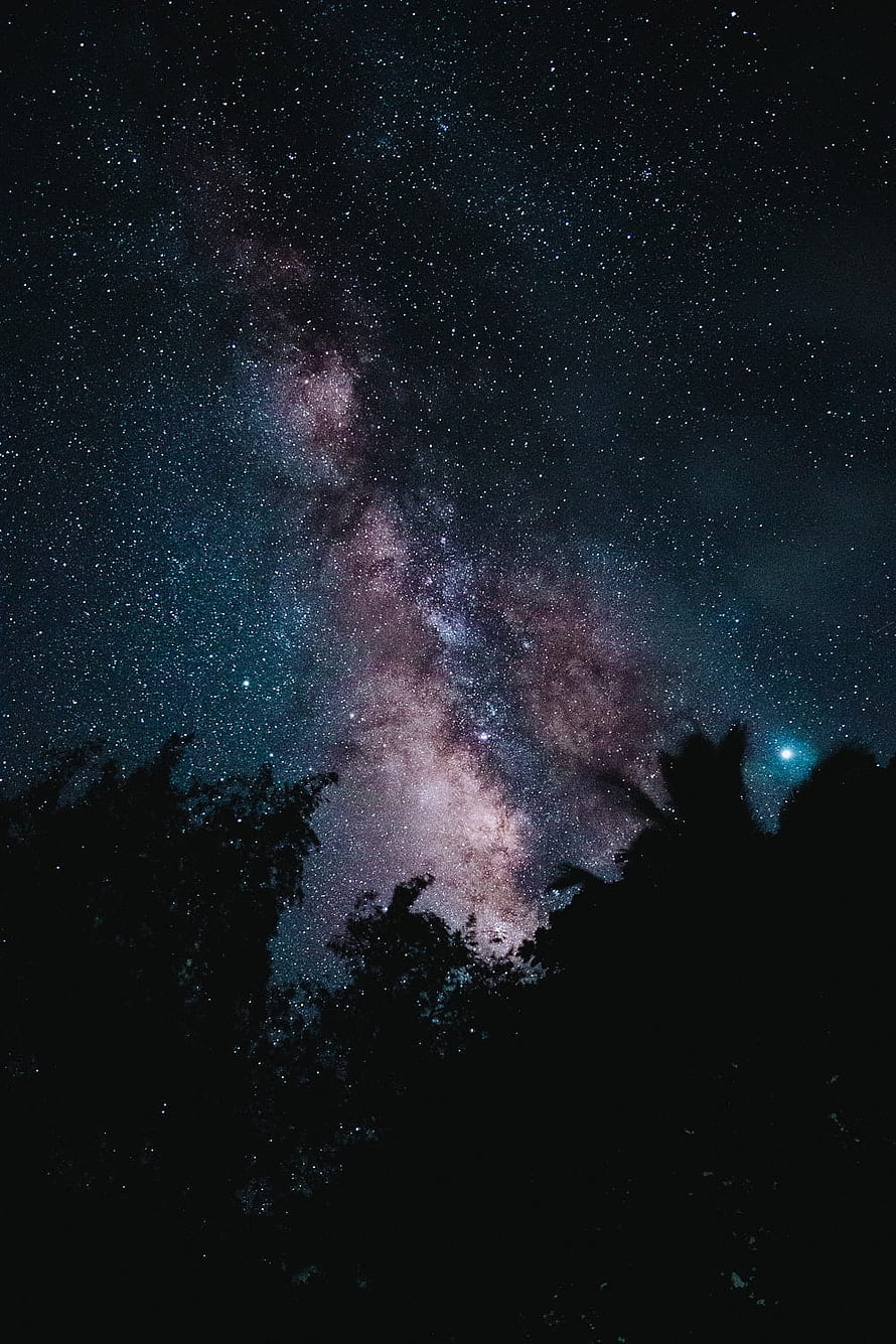 Milky Way Galaxy Rising Over Dark Forest Silhouette at Night HD phone wallpaper