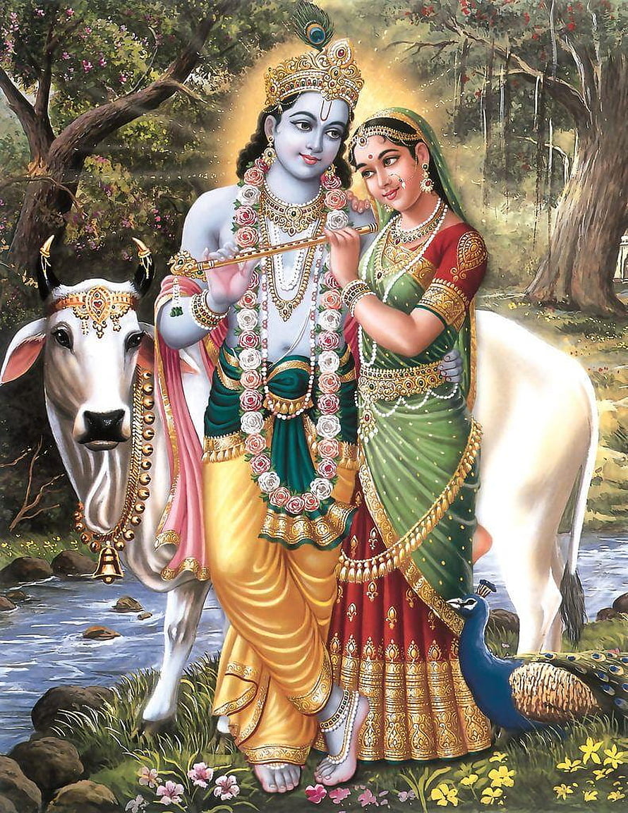 Radha Krishna Playing Flute With Cow And Peacock In Forest HD phone wallpaper