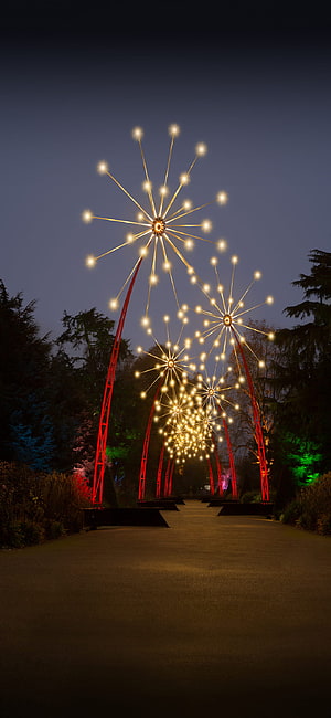 Magical Dandelion Light Sculptures Arching Over a Garden Path at Night HD phone wallpaper