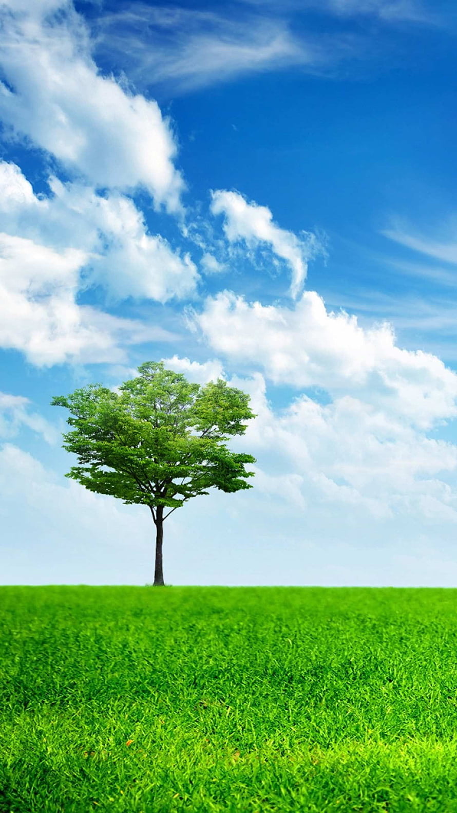 Lone Tree Standing in a Vibrant Green Meadow Under a Bright Blue Sky with Fluffy White Clouds HD phone wallpaper