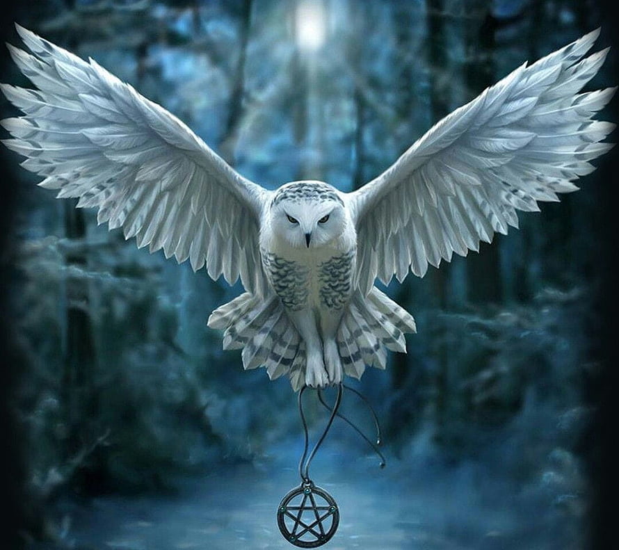 Mystical Snowy Owl Flying with Pentacle Pendant in Enchanted Forest HD wallpaper