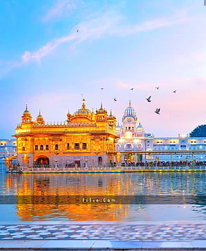 Golden Temple Amritsar at Dusk with Water Reflections and Birds in the Sky HD phone wallpaper