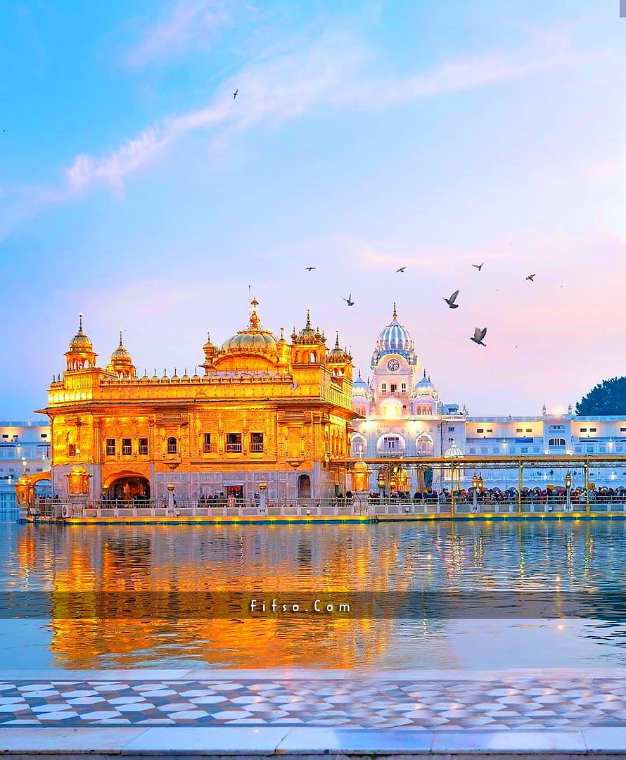 Golden Temple Amritsar at Dusk with Water Reflections and Birds in the Sky HD phone wallpaper
