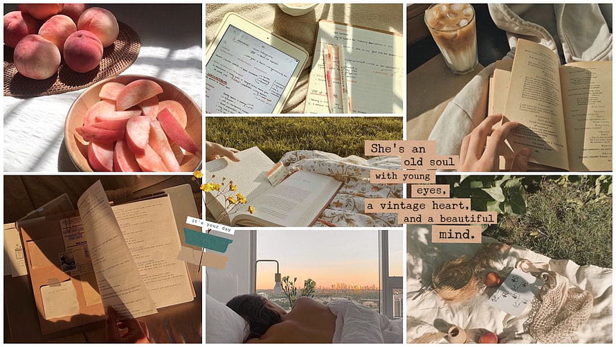 Light Academia Aesthetic Collage Featuring Books, Coffee, and Warm Sunlit Study Scenes HD wallpaper