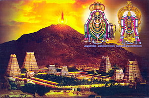 Thiruvannamalai Temple Complex at Sunset with Arunachala Hill and Divine Deities HD wallpaper