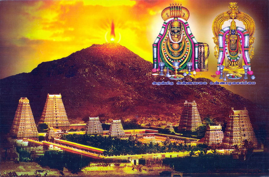 Thiruvannamalai Temple Complex at Sunset with Arunachala Hill and Divine Deities HD wallpaper
