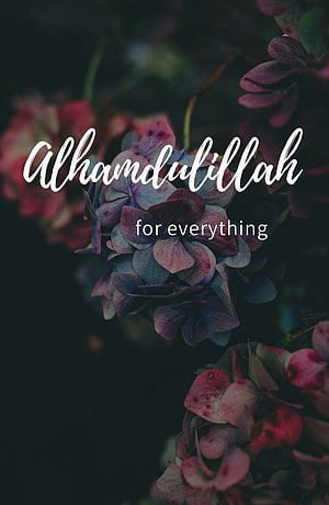 Alhamdulillah For Everything Inspirational Quote On Purple Hydrangea Flowers HD phone wallpaper