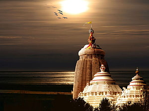 Jagannath Temple Puri at Golden Hour with Birds Flying Over the Sea HD wallpaper