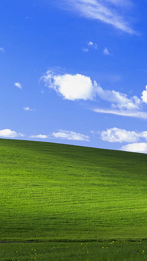 Bliss Landscape: Rolling Green Hills Under a Bright Blue Sky with Fluffy White Clouds HD phone wallpaper