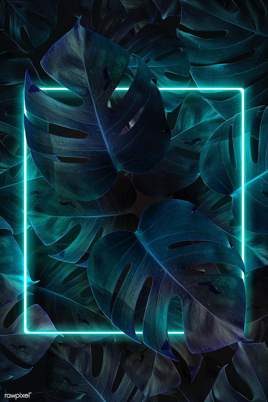 Neon Blue Rectangle Frame Over Dark Monstera Leaves Tropical Jungle Background HD phone wallpaper