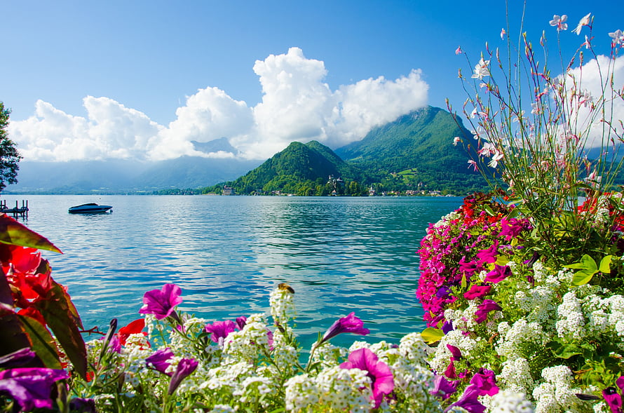Vibrant Alpine Lake Landscape With Colorful Flowers And Mountain Peaks HD wallpaper