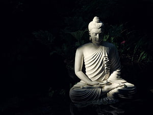 Serene White Buddha Statue in Meditation Pose Amidst Dark Lush Foliage HD wallpaper