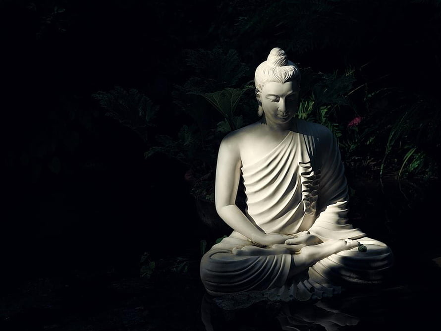 Serene White Buddha Statue in Meditation Pose Amidst Dark Lush Foliage HD wallpaper