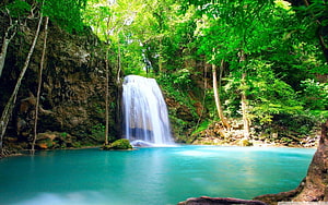 Serene Tropical Waterfall Cascading into Turquoise Pool Surrounded by Lush Green Forest HD wallpaper