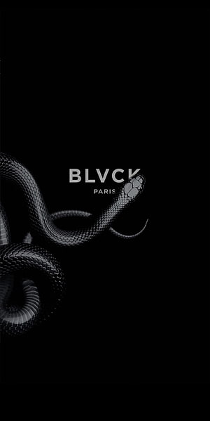 BLVCK Paris Black Snake Luxury Brand Logo Wallpaper HD phone wallpaper