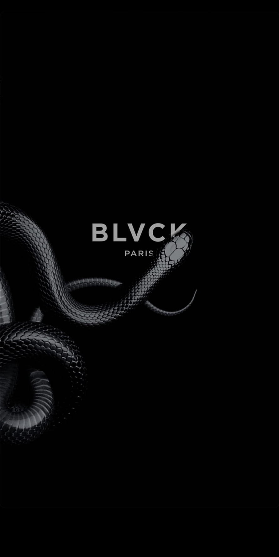 BLVCK Paris Black Snake Luxury Brand Logo Wallpaper HD phone wallpaper
