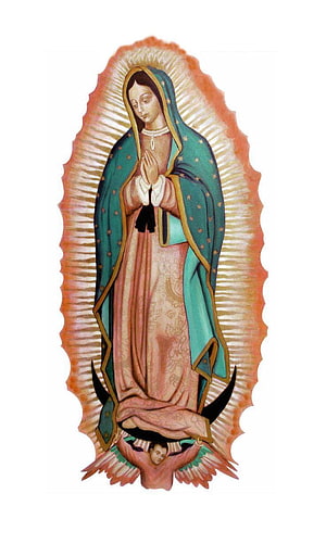 Our Lady of Guadalupe and Saint Juan Diego Religious Illustration HD phone wallpaper