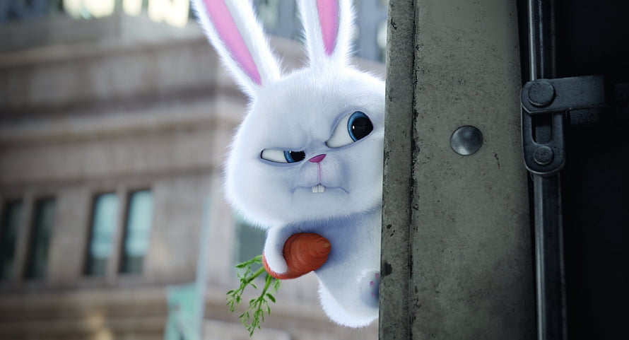 Snowball the White Rabbit Peeking from a Doorway Holding a Carrot HD wallpaper