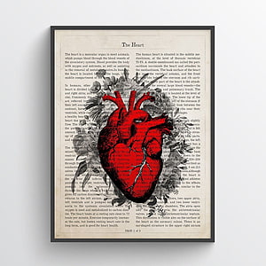 Vintage Anatomical Heart Illustration on Antique Dictionary Page HD phone wallpaper
