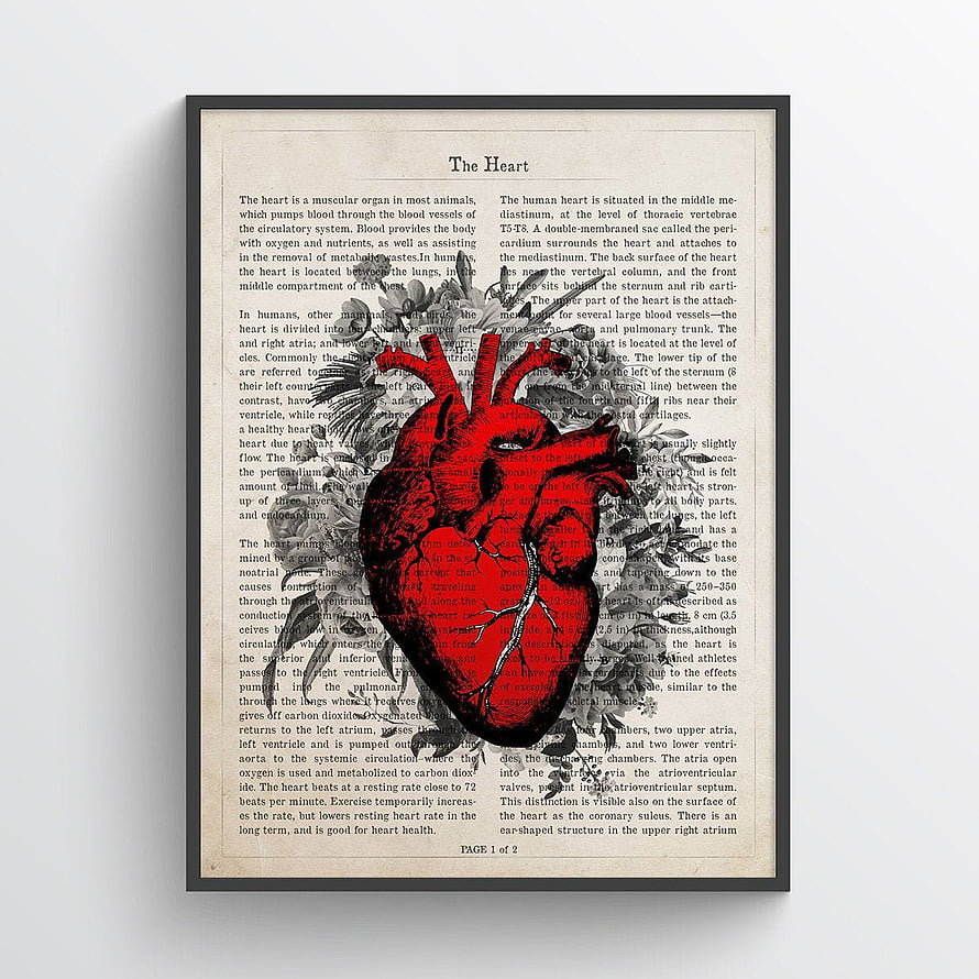 Vintage Anatomical Heart Illustration on Antique Dictionary Page HD phone wallpaper