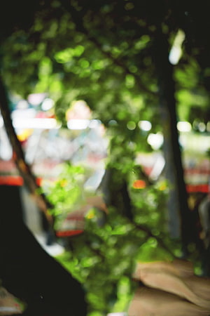 Abstract Blurred Green Foliage With Soft Bokeh Light Spots And Dark Shadows HD phone wallpaper