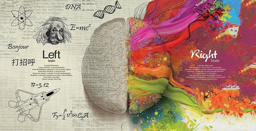 Left and Right Brain Duality Concept Art with Science and Creativity Elements HD wallpaper