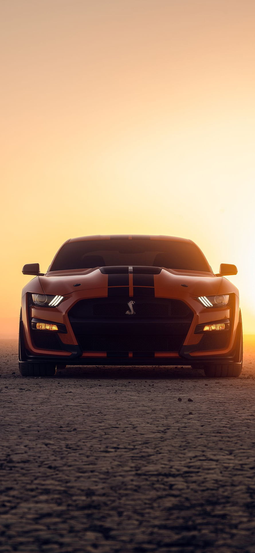 Orange Ford Mustang Shelby GT500 Front View at Sunset on Gravel Road HD phone wallpaper