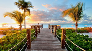 Tropical Wooden Boardwalk Path Leading To Ocean Beach At Sunset With Palm Trees HD wallpaper