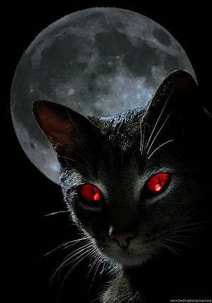 Mysterious Black Cat with Glowing Red Eyes Against a Full Moon HD phone wallpaper