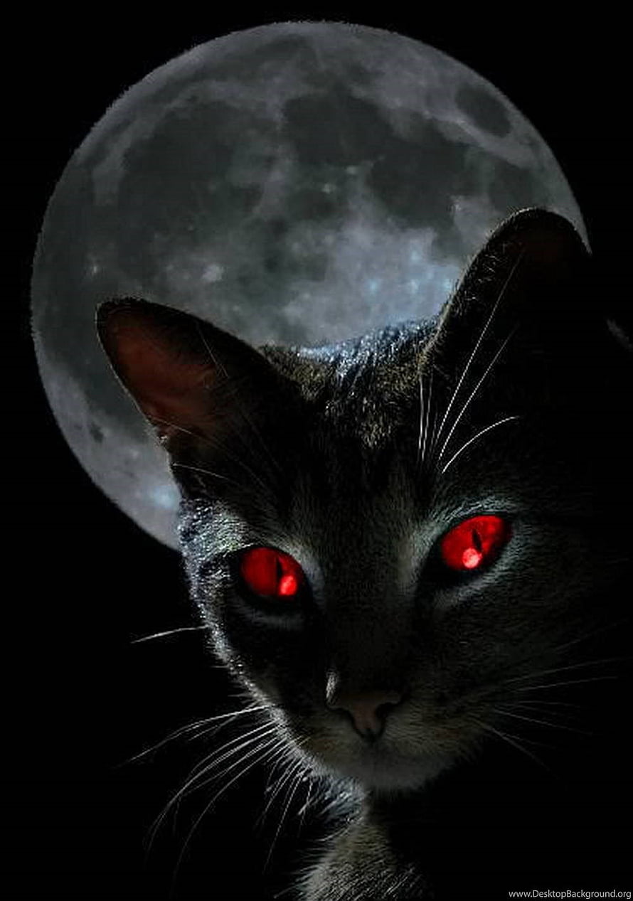 Mysterious Black Cat with Glowing Red Eyes Against a Full Moon HD phone wallpaper