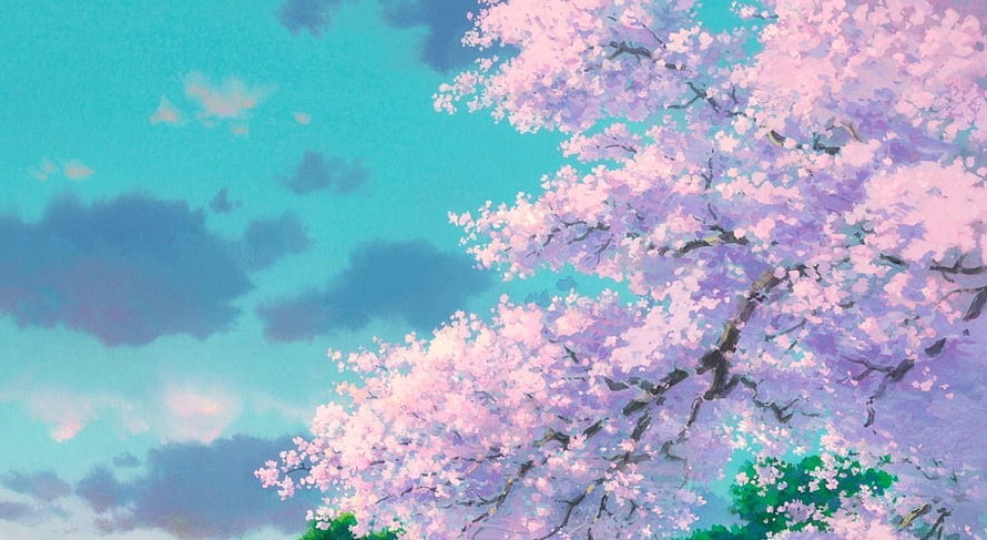 Anime Style Cherry Blossom Tree Branches Against Blue Sky HD wallpaper