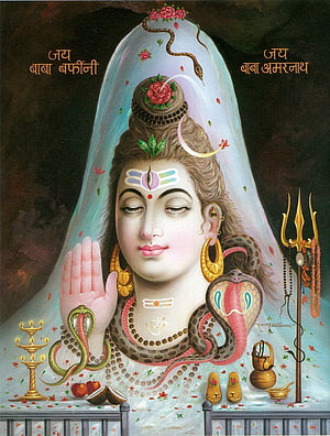 Baba Baidyanath Jyotirlinga Hindu Deity Portrait With Trishul And Snakes HD phone wallpaper