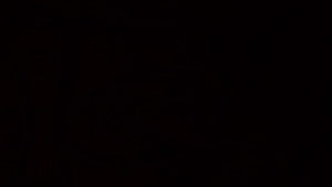 Minimalist Solid Black Background for Desktop and Mobile Screens HD wallpaper