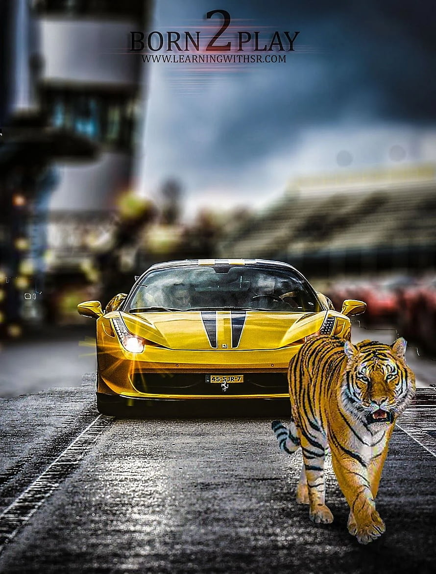Yellow Ferrari 458 Italia and Tiger on Wet Asphalt HD phone wallpaper