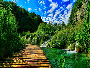 Wooden boardwalk winding through lush green forest with cascading waterfalls and turquoise river HD wallpaper