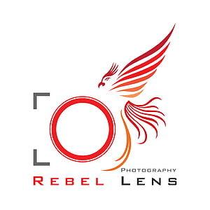 Rebel Lens Photography Logo Featuring Stylized Red Phoenix and Camera Viewfinder HD phone wallpaper