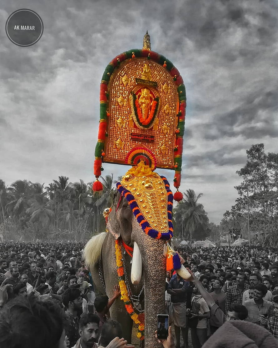 Karnan Elephant Carrying Ornate Golden Temple Structure During Kerala Festival Procession HD phone wallpaper
