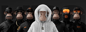 Hapebeast Prime NFT Collection Featuring Stylized 3D Ape Characters in Streetwear HD wallpaper