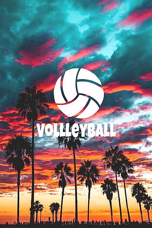 Volleyball Aesthetic Wallpaper with Palm Trees and Vibrant Sunset Sky HD phone wallpaper