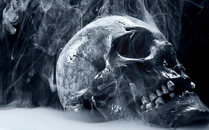 Moody Human Skull in Swirling Smoke with Dark Atmospheric Lighting, Die 7 Besten Totenköpfe Hintergrundbilder, totenkopfe HD wallpaper