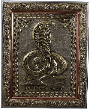 Goga Maharaj Brass Snake Relief Artwork with Ornate Floral Frame and Sanskrit Inscription HD phone wallpaper