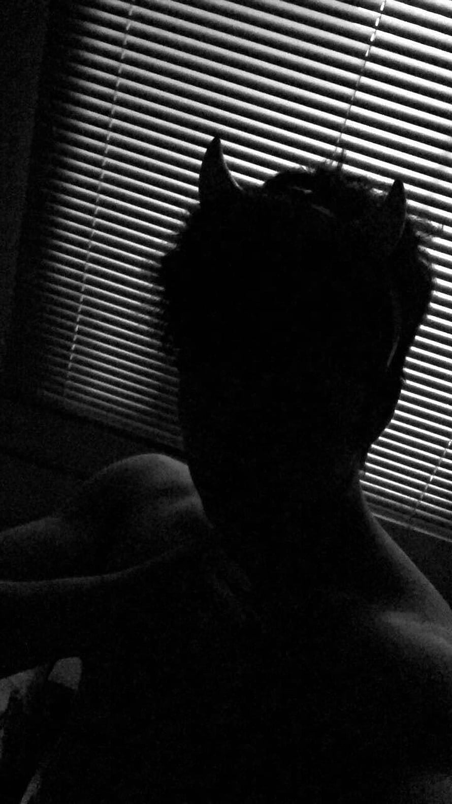 Silhouette of a person with devil horns against window blinds in black and white HD phone wallpaper